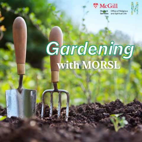 gardening tools, soil, plants