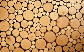 Wood logs stacked by cut end.