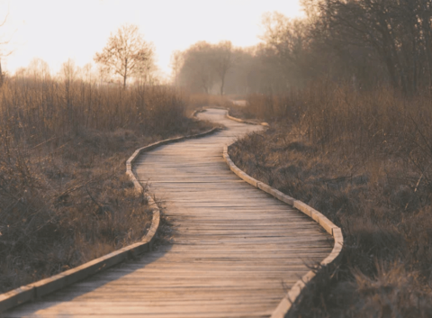 Pathway leading to horizon as background