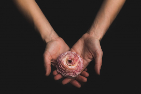 Hands placed onto one another with palms facing up and carrying a pink rose.