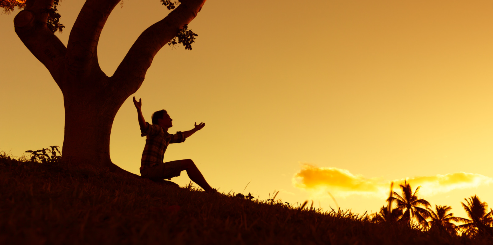 silhouette of a man under a tree in the sunset