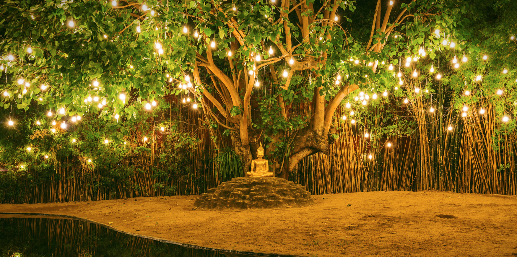 A gold Buddha sitting under a Bodhi tree with lights