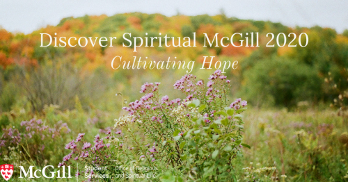 A field of wildflowers. Discover Spiritual McGill Fair: Cultivating Hope
