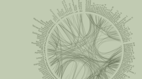 A spider chart linking MSSI researchers based on their collaborations