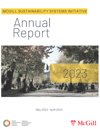 Link to the 2023 MSSI Annual Report