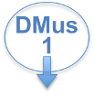 D.Mus. 1