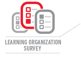 Learning Organization Survey