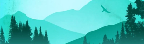 mountain landscape and flying bird