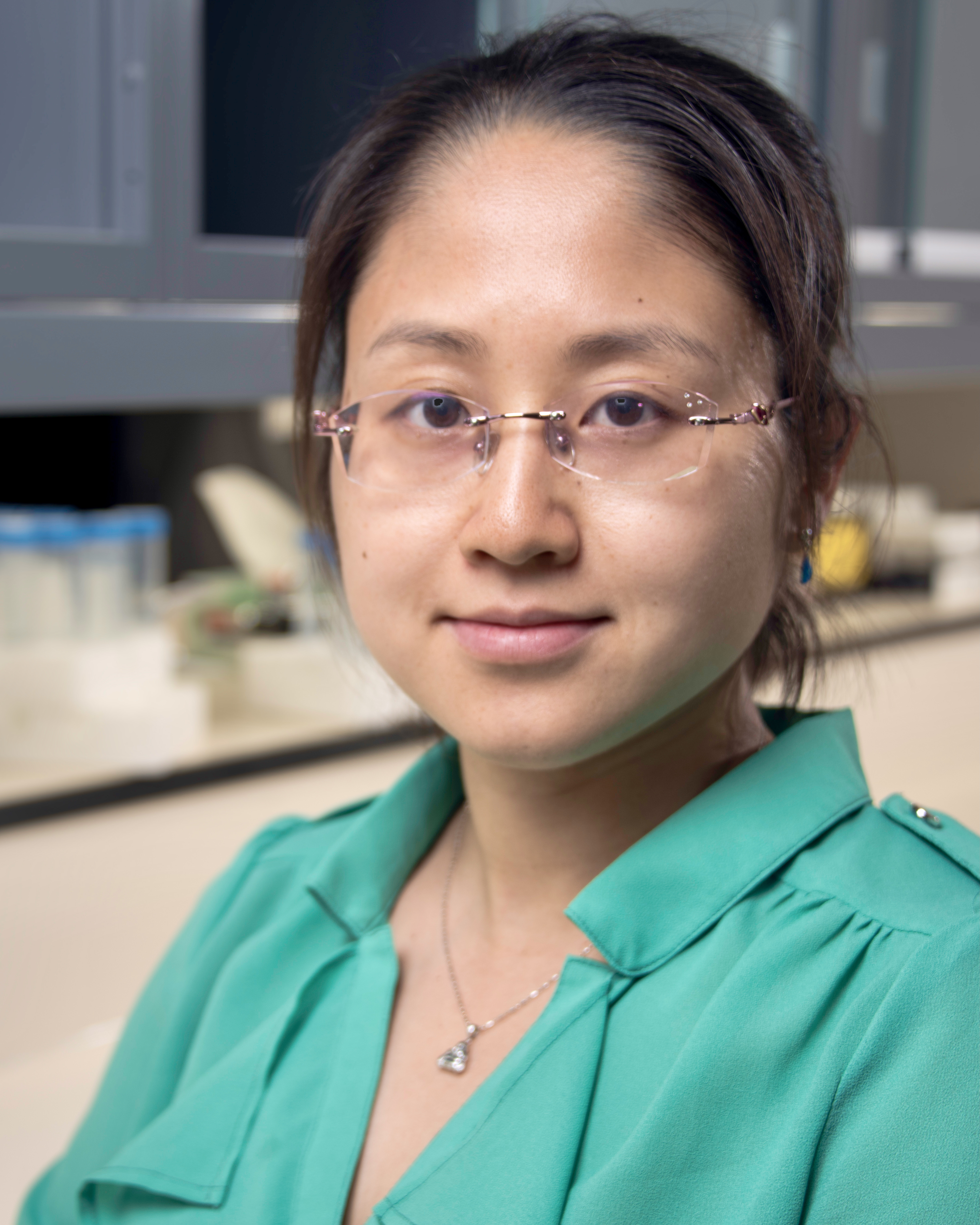 Chanshuai Han, research associate