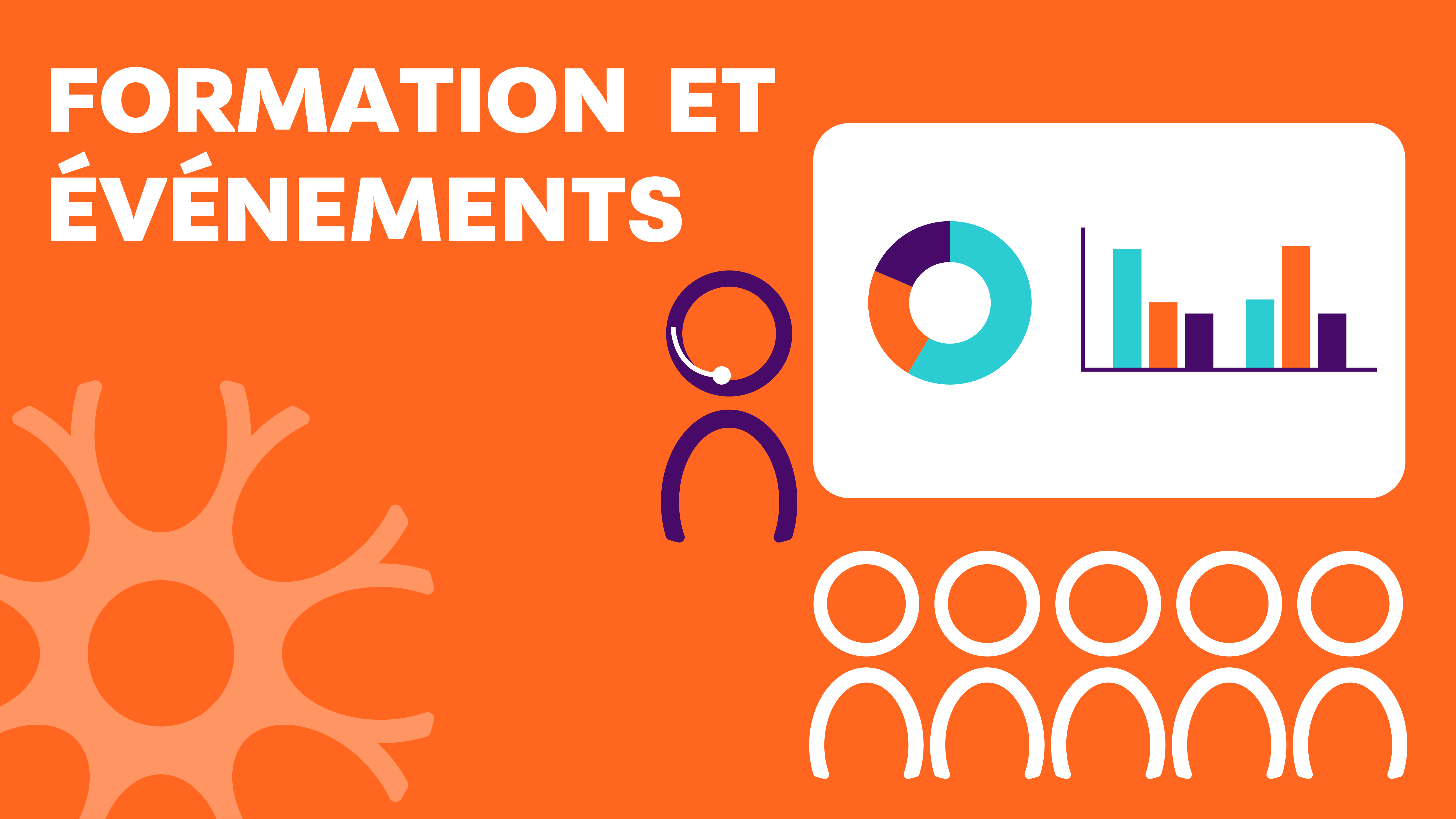 Formation et événements