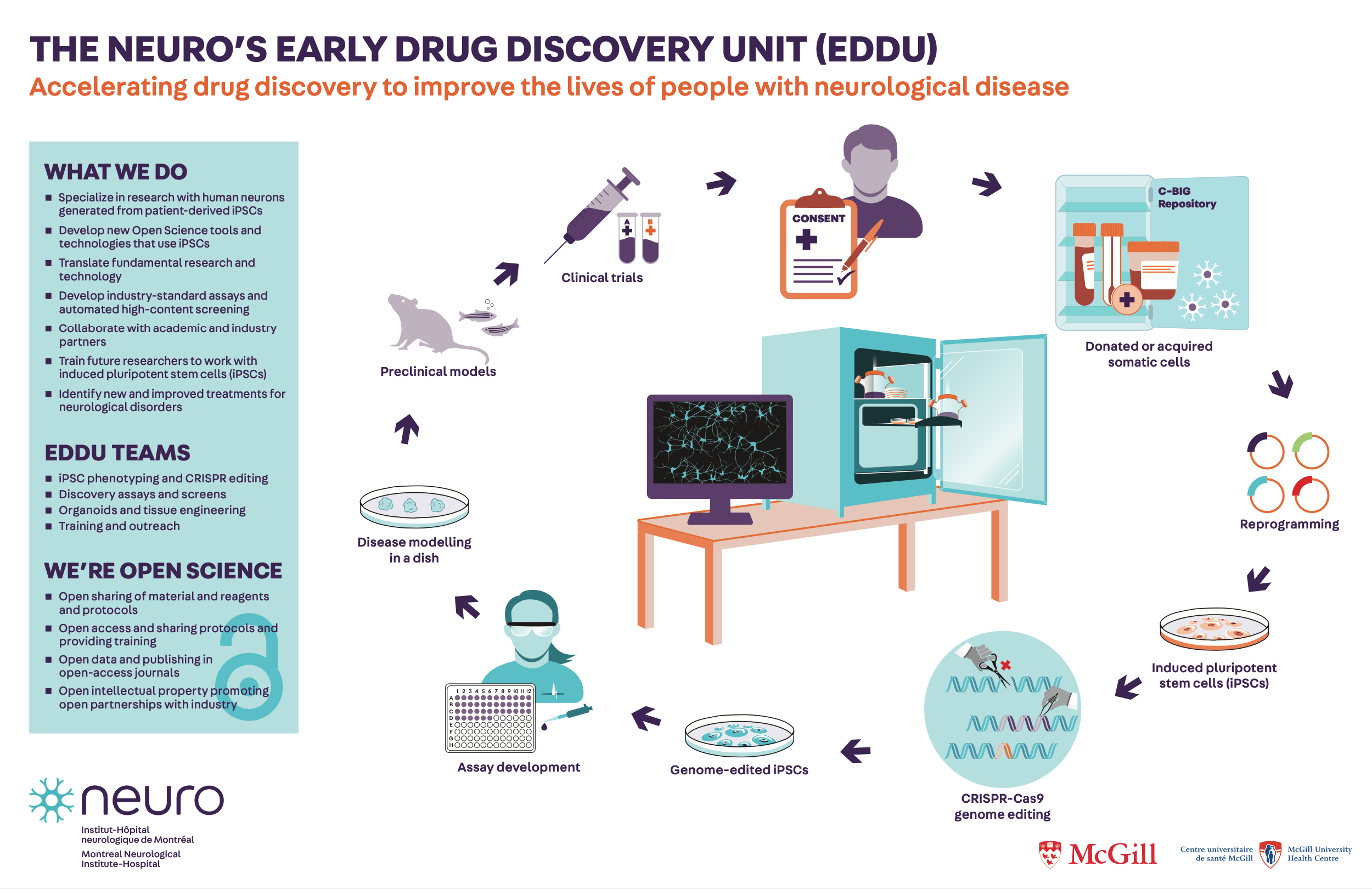 The Neuro's EDDU Infographic