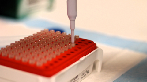 Antibodies, essential tools in life sciences, are typically used to detect or capture specific proteins in complex biological samples. 