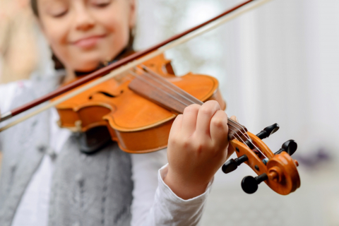 Les chercheurs ont déterminé par comparaison à la séance témoin que la SMT excitatrice avait amélioré l’appréciation de la musique, augmenté les scores des mesures psychophysiologiques de l’émotion et la motivation des participants à acheter des pièces musicales, alors que la SMT inhibitrice avait réduit tous ces paramètres.