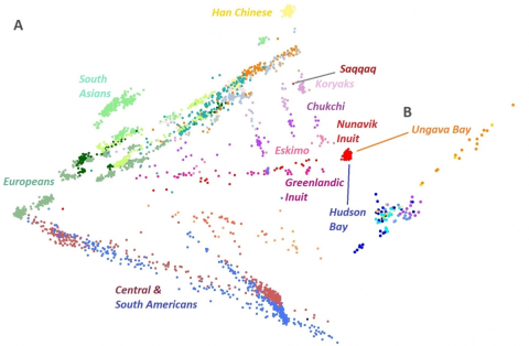 Genetic grouping (PCA plot) displaying Nunavik Inuit and worldwide populations, each color representing one population, B. Clustering is of Hudson Bay Inuit and Ungava Bay Inuit.