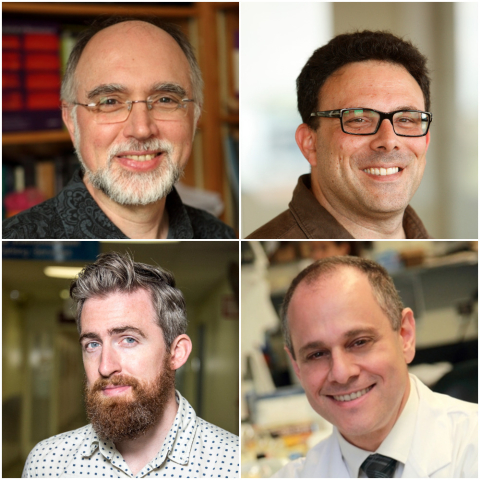 Clockwise from top left, Robert Zatorre, Edward Ruthazer, Dr. Edward Fon, Stuart Trenholm