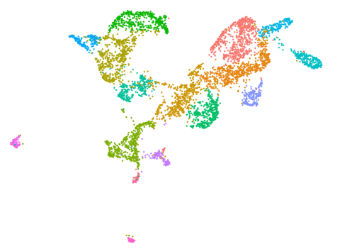 UMAP diagram of a single cell phenotype.