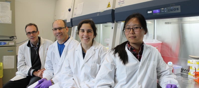 Scientists have identified a gene in the French-Canadian population that predisposes them to the development of intracranial aneurysm (IA), a potentially life threatening neurological condition that is responsible for approximately 500,000 deaths worldwide per year, half of which occur in people less than 50 years of age.