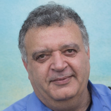 Amir Shmuel, PhD