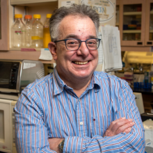 Wayne Sossin, PhD Wayne Sossin, PhD