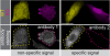 YCharOS is an independent antibody quality assessment initiative to improve research results. 