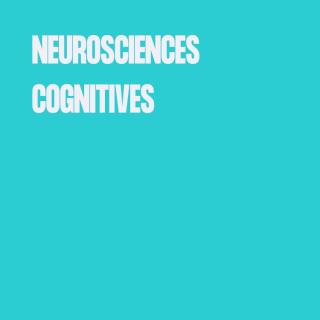 neuroscience cognitives