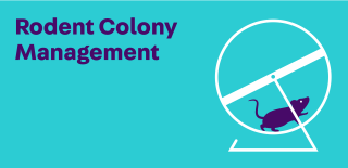 rodent colony management