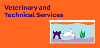 veterinary and technical services