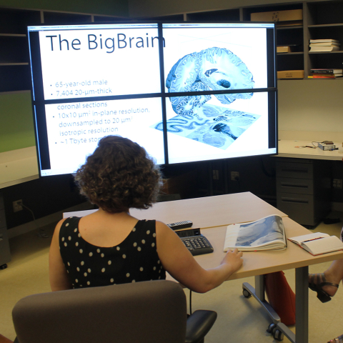 Grand Rounds projection screen
