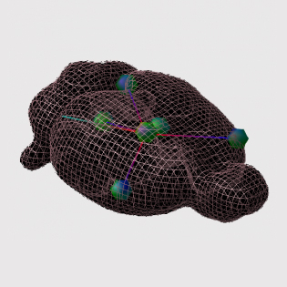 3D Brain model