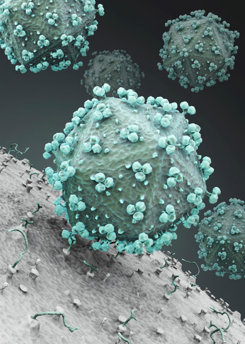 HIV uses the immune system’s own tools to suppress it