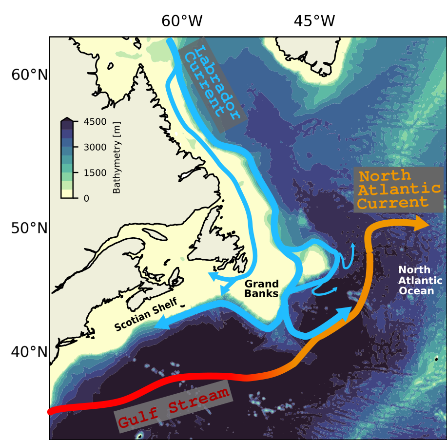 Map of the circulation in the west of the North Atlantic. Provided by Mathilde Jutras