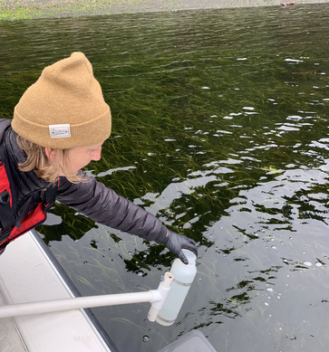 Prélèvement d'échantillons d'eau de mer juste sous la surface d'un herbier marin dans le détroit de Quatsino, en Colombie-Britannique.