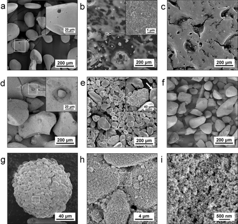 Des méduses pour capturer les nanoparticules