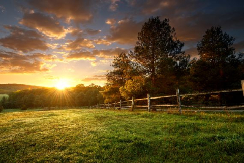 A wooden fence separates a farm field and a forest. The sun sets in the distance.
