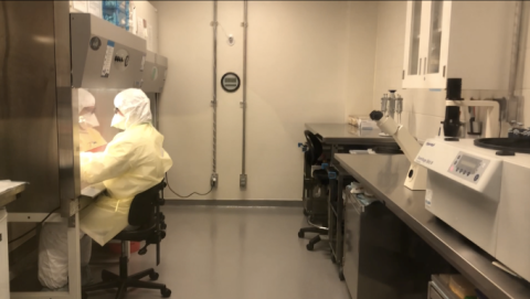 Researcher at work in containment lab