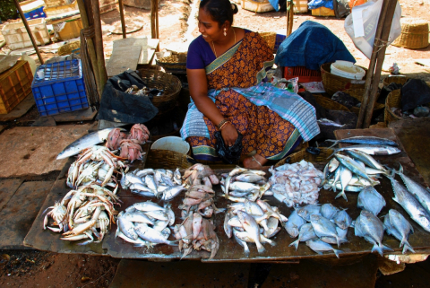 Locally-caught seafood for sale at a roadside market in Goa, India in February 2013 // Fruits de mer pêchés localement et vendus sur un marché de bord de route à Goa, en Inde, en février 2013.