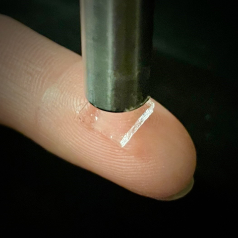 Adhesive hydrogel applied on skin under ultrasound probe. Credit: Ran Huo and Jianyu Li / Hydrogel adhésif appliqué sur la peau sous la sonde à ultrasons. Crédit : Ran Huo et Jianyu Li 