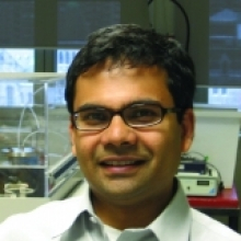 Subhasis Ghoshal Subhasis Ghoshal