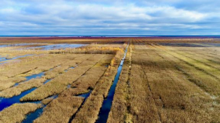 Wetlands in the Ukraine being taken over for agricultural use