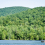 McGill University's Gault Nature Reserve. Photo credit: Alex Tran / Réserve naturelle Gault de l'Université McGill. Photo : Alex Tran