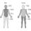 Melanoma affects different areas of the body in males versus females. Figure adapted from: https://www.frontiersin.org/articles/10.3389/fmed.2022.830254/full | Le mélanome touche différentes parties du corps chez l'homme et la femme. Illustration adaptée de : https://www.frontiersin.org/articles/10.3389/fmed.2022.830254/full