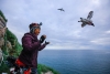 Emily Choy (McGill University) studying thick-billed murres on Coats Island in northern Hudson Bay. Credit: Douglas Noblet