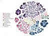 Flower diagram representing the major bacterial groups (phyla) within the milk microbiome of Mam-Mayan Guatemalan mothers.