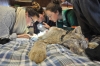 Emily Studd  and Allyson Menzies handling a Canada lynx. Credit: Kevin Chan / Emily Studd et Allyson Menzies entourant un lynx du Canada. Photo : Kevin Chan