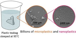 Microplastics: Premium teabags leak billions of particles - study - BBC News