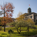 The downtown campus in summer