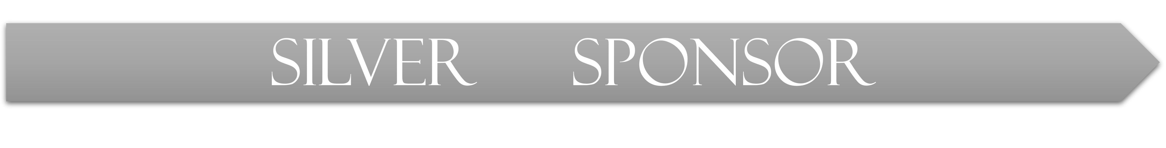 silver sponsor 