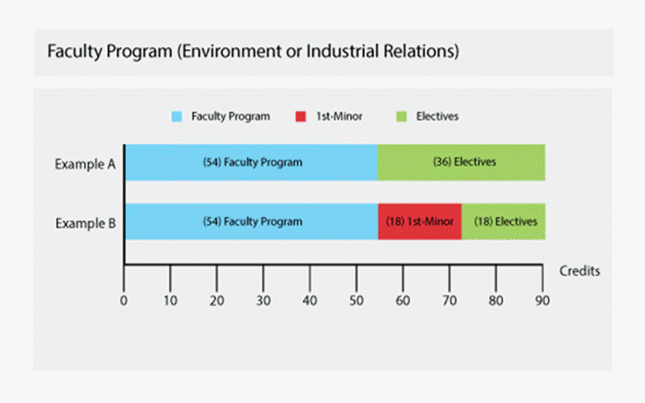 Faculty program diagram