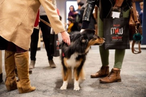 people petting a dog