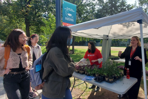 Staff and students on campus at a plant giveaway tent